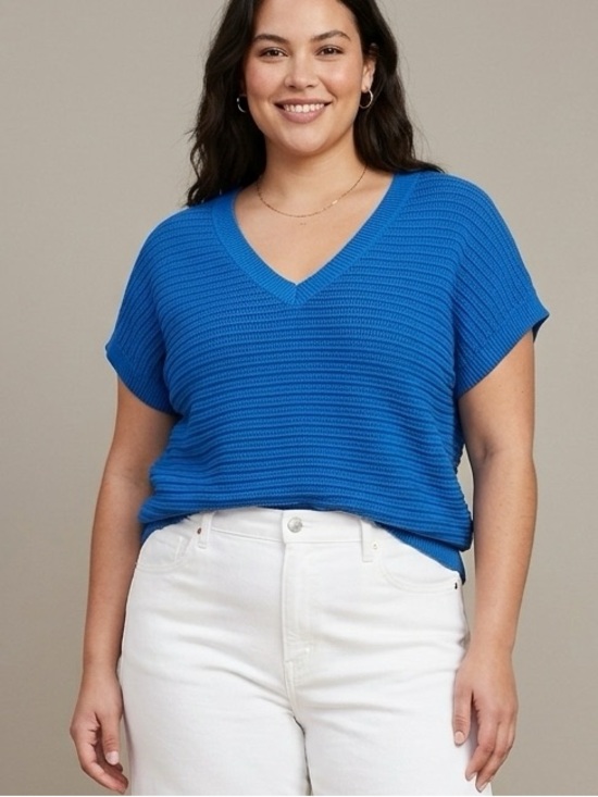Style & Co. Sweaters - Blue V-Neck Dolman Sleeve Blouse Top Short Sleeve Sweater Preppy NWT